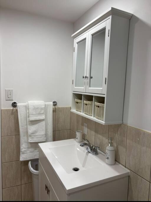 Cozy Spacious Work Friendly Lotus With Garden View High Speed Free Wi Fi And Parking Adjacent To Downtown Montreal Zewnętrze zdjęcie