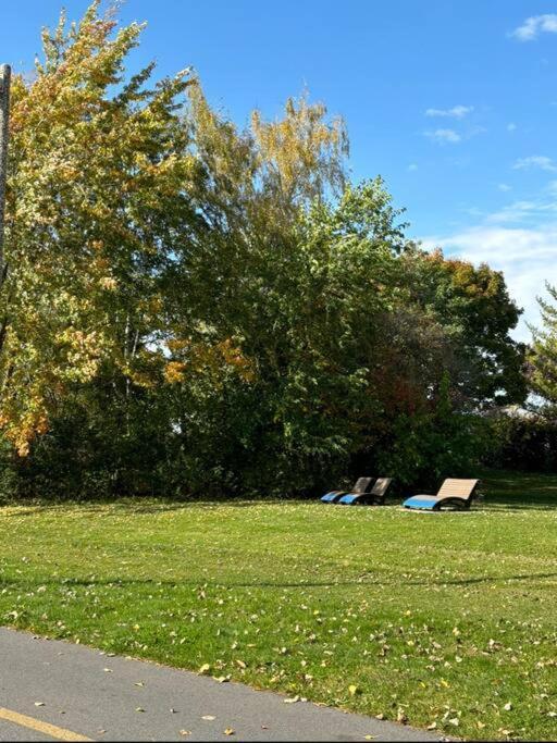 Cozy Spacious Work Friendly Lotus With Garden View High Speed Free Wi Fi And Parking Adjacent To Downtown Montreal Zewnętrze zdjęcie